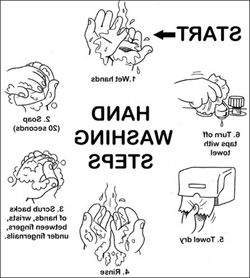 洗手说明